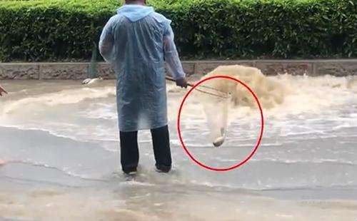 輸送帶廠家：廣州雨后內(nèi)澇嚴(yán)重，路人當(dāng)街捕魚