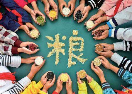 輸送帶廠家：第40個世界糧食日，食品安全很重要