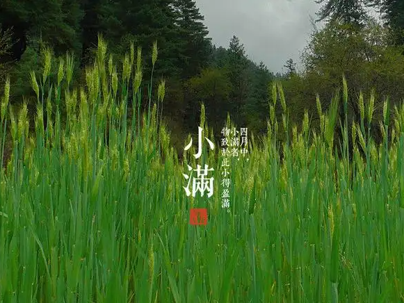 今日小滿，擎川與你一起靜待美滿！